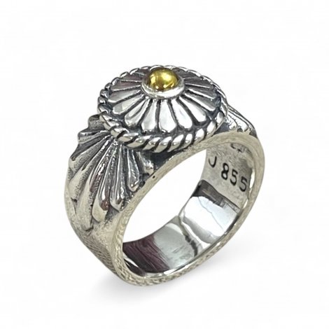 Silver and Brass ring