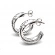 Boucles d'oreilles en Argent