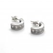 Silver and Zirconium Earrings